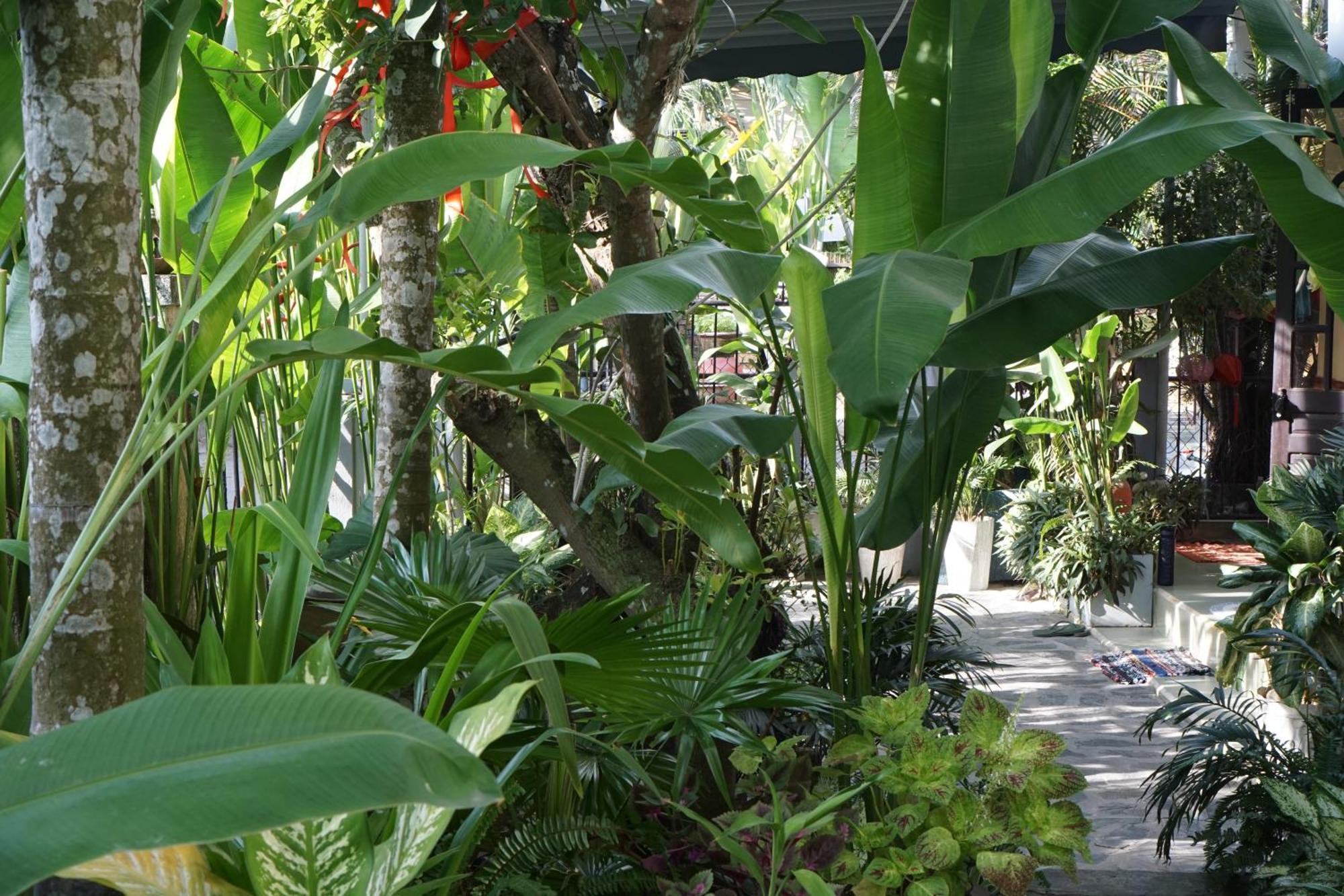 Hoi An Sunny Garden Apartment ภายนอก รูปภาพ