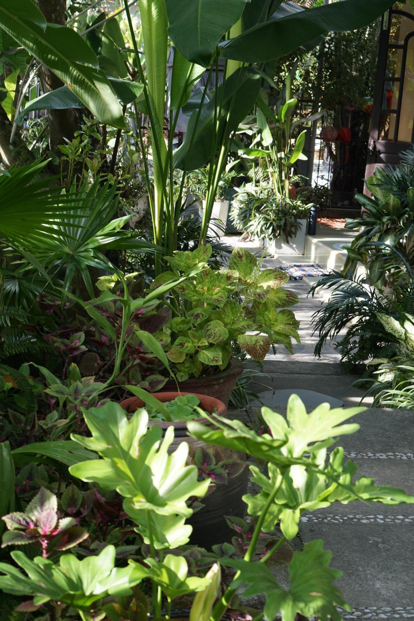 Hoi An Sunny Garden Apartment ภายนอก รูปภาพ
